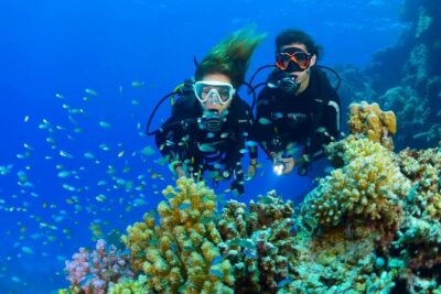 Tulamben Diving Tour Shipwreck USS Bali - Morning logistics: 7:30 pickup and the drive to Tulamben beach