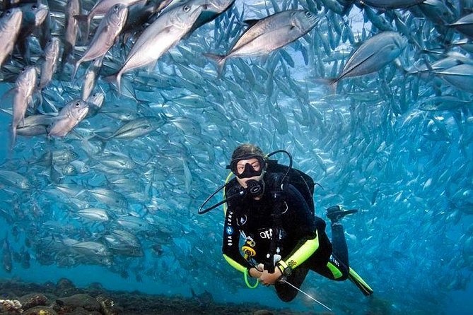 Tulamben Diving Tour Shipwreck USS Bali - USS Liberty time: what you’re actually looking at