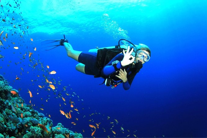 Tulamben Diving Tour Shipwreck USS Bali - Price and value: is $102.57 a fair deal?