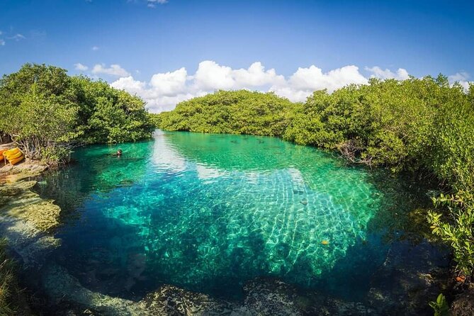 Tulum Area Experiences Guided 2 Tank Scuba Dive Casa Cenote & Barrier Reef-Lunch - Meeting Point, Pickup, and the Small-Group Feel in Tulum