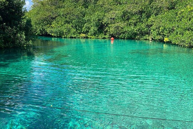 Tulum Area Experiences Guided 2 Tank Scuba Dive Casa Cenote & Barrier Reef-Lunch - Who Should Book This and Who Should Skip It