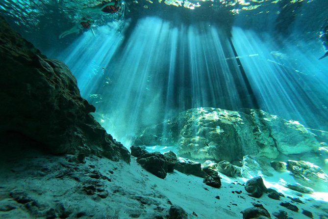 Tulum cenote diving. The ultimate experience in scuba - Why 2 Ojos cenotes are such a special scuba setting