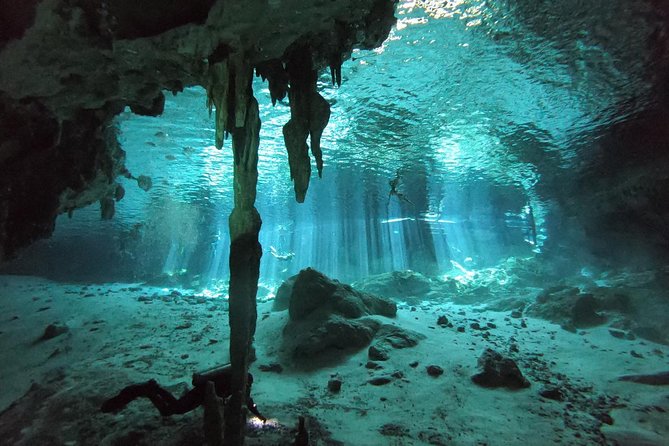 Tulum cenote diving. The ultimate experience in scuba - Pickup, schedule, and what the day feels like from 8:00 am