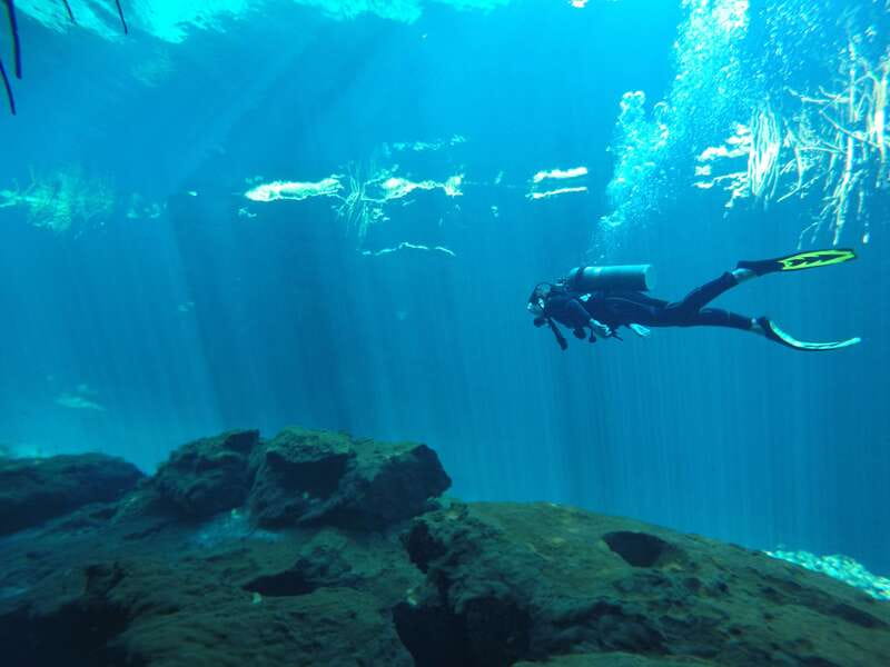 Tulum: Discover Scuba Diving in Cenotes - Tulum cenotes: why this open lagoon is perfect for first-timers