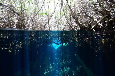 Tulum: Discover Scuba Diving in Cenotes - Your 4-hour schedule: 30-minute basics, then 30–50 minutes underwater