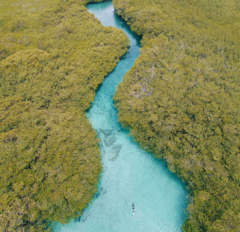 Tulum: Discover Scuba Diving in Cenotes - Who should book this cenote scuba session?