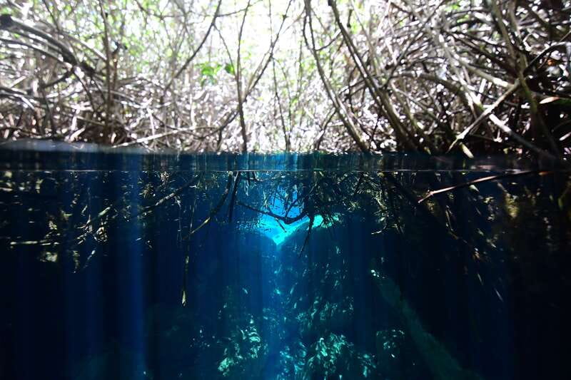 Tulum: Discover Scuba Diving in Cenotes - Your 4-hour schedule: 30-minute basics, then 30–50 minutes underwater