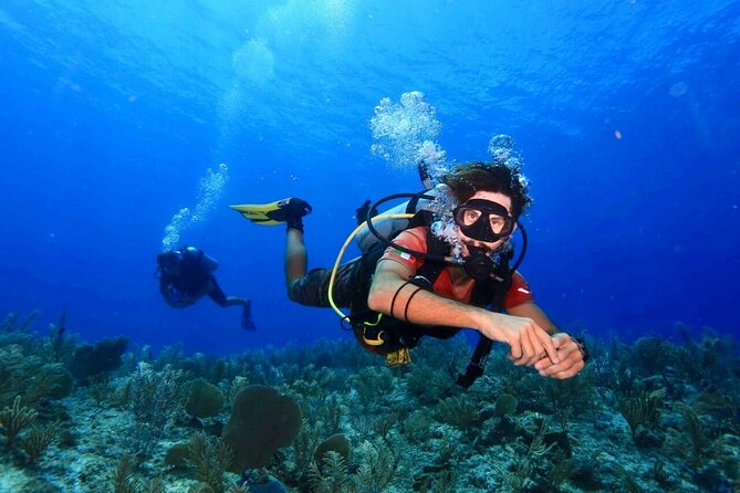 Tulum Diving (Reef) 2 Tanks - Key Things I’d Put on Your Short List