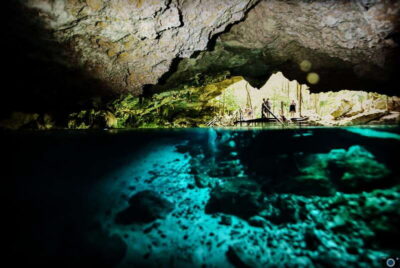 Tulum : Dos Ojos cenote 2 scuba dives (certified divers) - What you’ll see underwater: formations, fossils, and the halocline effect