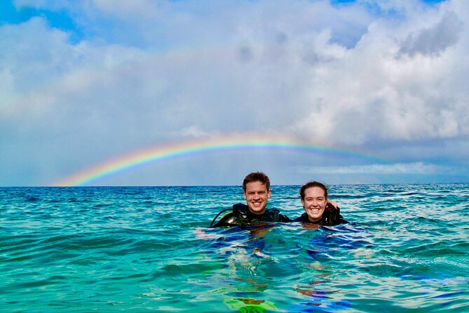 Turtle & Shark Scuba Dive in Lahaina: Certified - Key highlights at a glance