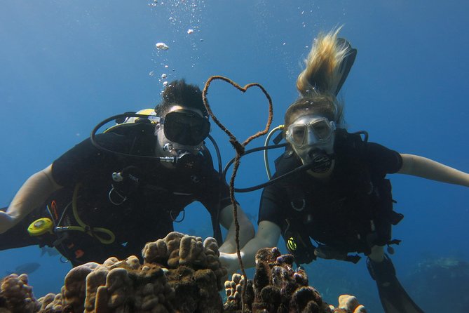 Turtle & Shark Scuba Dive in Lahaina: Certified - How the Lahaina shore setup works for certified scuba holders
