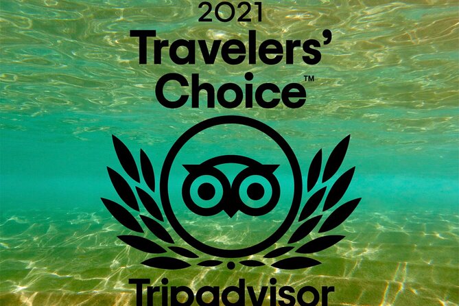 Turtle & Shark Scuba Dive in Lahaina: Certified - Why the private coaching feels safer (especially for first-timers)