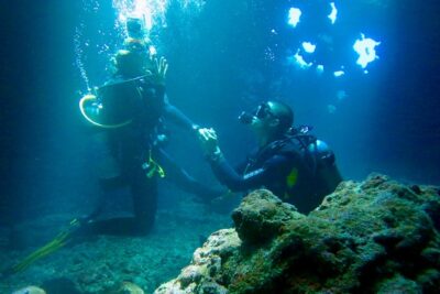 Turtle & Shark Scuba Dive in Lahaina: Certified - Wildlife highlights: turtles, white-tip sharks, and a cleaning-station kind of moment
