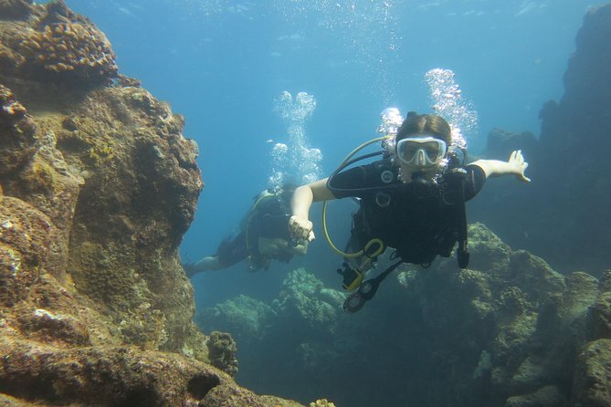 Turtle & Shark Scuba Dive in Lahaina: Certified - Price and value: what $259 really buys you