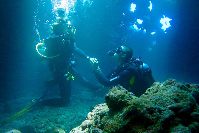 Turtle & Shark Scuba Dive in Lahaina: Certified - Wildlife highlights: turtles, white-tip sharks, and a cleaning-station kind of moment