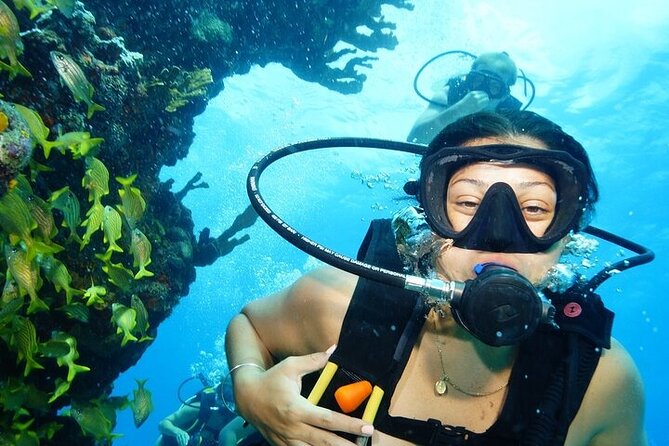 Two Dives and Class for Begginers Divers in Cancun - Key highlights worth knowing