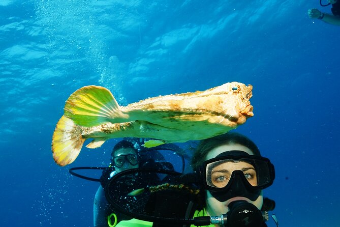 Two Dives and Class for Begginers Divers in Cancun - Entering the day: check-in, medical screen, and gear