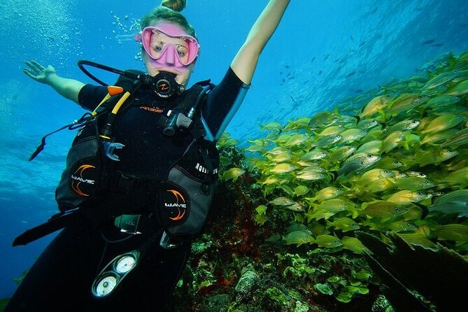 Two Dives and Class for Begginers Divers in Cancun - Cancun logistics: what to bring and how to avoid headaches