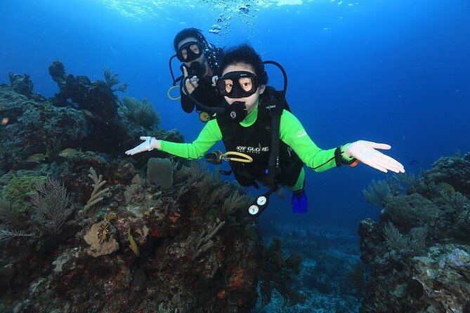 Two Dives and Class for Begginers Divers in Cancun - Who this is best for (and who should skip it)
