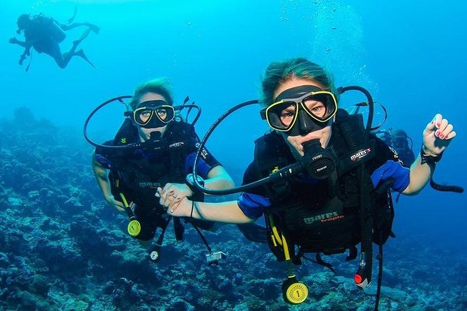 Two Dives for certified divers in Fujairah - Key things that make this trip worth your time