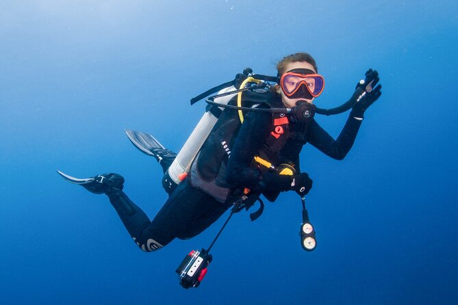 Two Dives for certified divers in Fujairah - Fujairah from Dubai: early pickup, real nature, and a smooth start