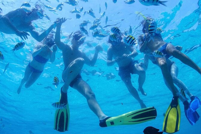 Two Dives for certified divers in Fujairah - Timing, paperwork, and the health rules you shouldn’t ignore