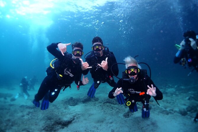 Two Dives for certified divers in Fujairah - Getting on the boat: sun deck, showers, toilets, and real comfort