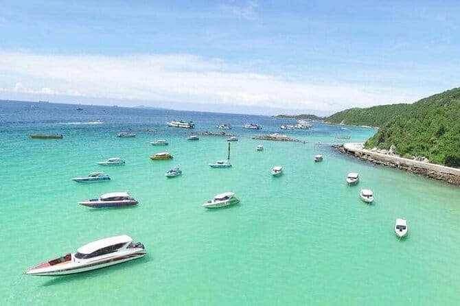 Two Fun Dives for Certified Divers in Koh Kood or Koh Rang - The underwater plan: coral reefs, session pacing, and depth reality