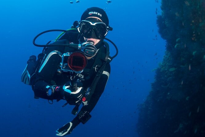 Two Morning Dives in Gozo for Certified Diver - Key things you’ll notice on this Gozo scuba morning