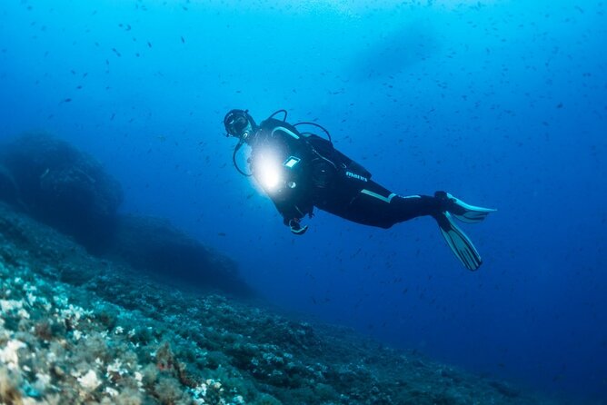 Two Morning Dives in Gozo for Certified Diver - Why the 8:00 am start makes Gozo feel easier