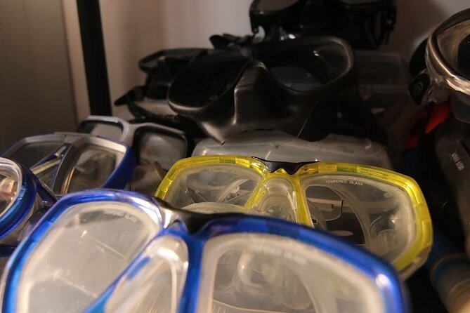 Two Morning Dives in Gozo for Certified Diver - The first underwater session: briefing, setup, and a clear end point