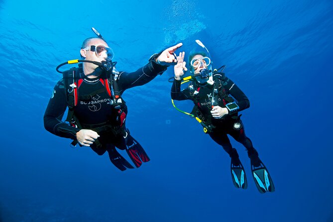 Two Morning Dives in Gozo for Certified Diver - Going back in the same area: better continuity, easier orientation
