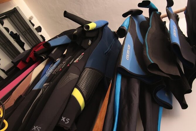 Two Morning Dives in Gozo for Certified Diver - What you’ll see: caves and fish without needing advanced skills