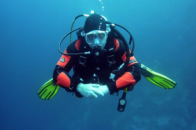 Two Morning Dives in Gozo for Certified Diver - Safety and instructor attention: one guide per four divers