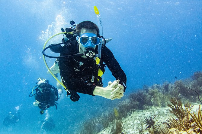 Two reef discovery dives with professional instructor (no experience necessary) - From Pool to Reef: What the 9:00 AM Day Actually Looks Like