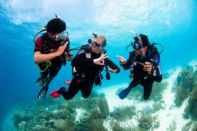 Two reef discovery dives with professional instructor (no experience necessary) - Gear and Included Extras: What You Don’t Have to Worry About