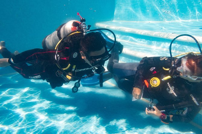 Two reef discovery dives with professional instructor (no experience necessary) - Price and Value: Is $150 Reasonable for a Full Day?