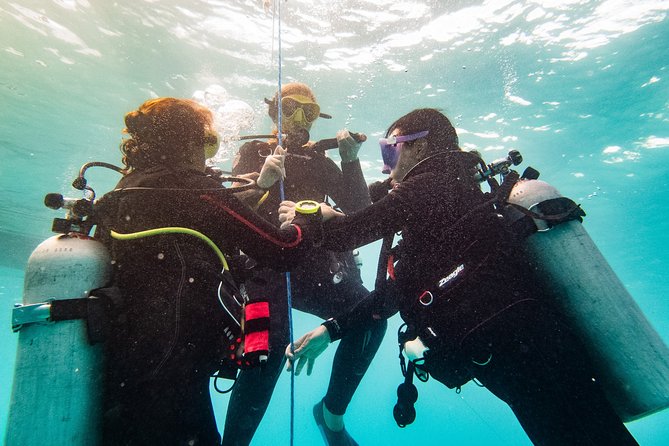 Two reef discovery dives with professional instructor (no experience necessary) - Two Different Coral Areas: How Your Time Underwater Is Managed