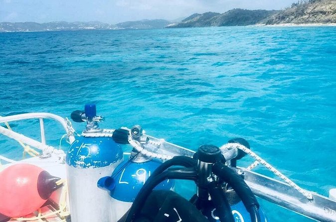 Two Tank Dive - Reefs and ship wrecks: the kinds of sights you should look for