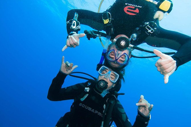 Two-Tank Dive for Certified Diving in St Thomas - First Underwater Session: Reefs, Wrecks, and a Calm Start