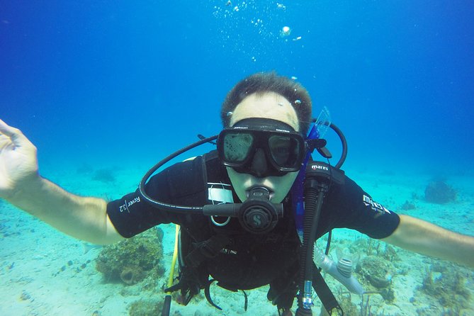 Two-Tank Dive for Certified Diving in St Thomas - Second Underwater Session: Enjoyment, Plus Pirate Punch After 18+