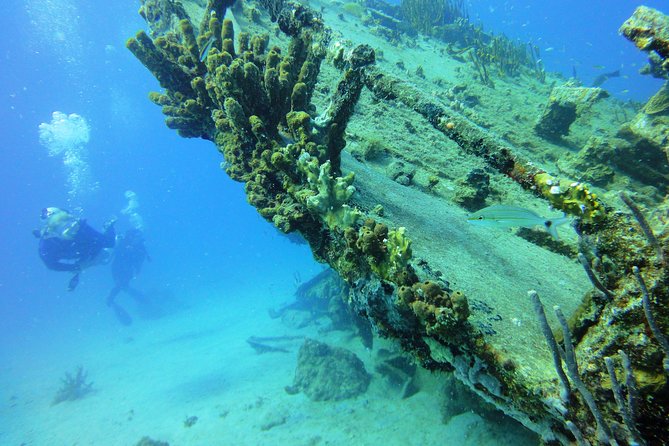 Two-Tank Dive for Certified Diving in St Thomas - Who Should Book This, and Who Might Prefer Something Else