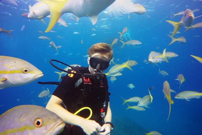 Two-Tank Dive for Certified Diving in St Thomas - Should You Book? My Honest Take