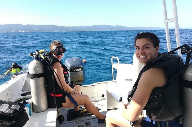 Two Tank Dive in Montego Bay w/Certified Divers - Reef Creatures You Can Expect to See
