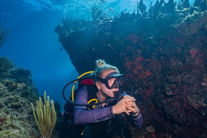 Two-Tank Morning Dive Trip for Certified Divers - Your Underwater Guide Team: Friendly, Practical, and Adaptable