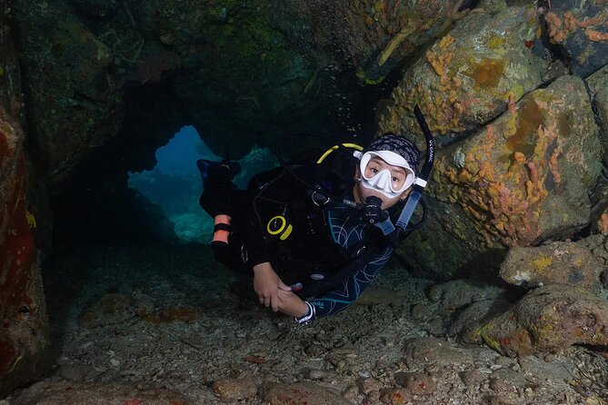 Two-Tank Morning Dive Trip for Certified Divers - Price and Value: Is $180 a Good Deal for Two Tanks?