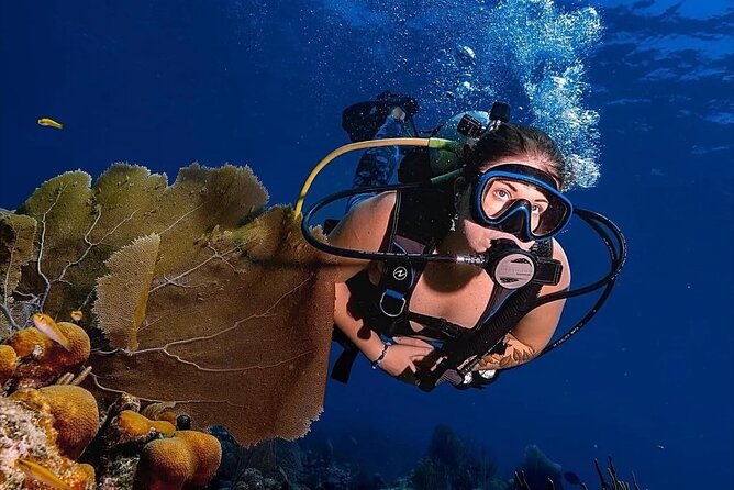 Two-Tank Morning Dive Trip for Certified Divers - Should You Book Low Key’s Two-Tank Morning Scuba Trip?