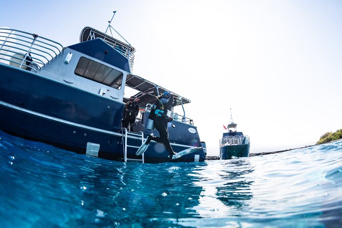 Two Tank Morning Reef Dive and Snorkel - The reef and volcanic scenery you’re paying for