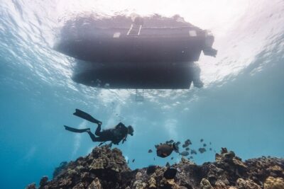 Two Tank Morning Reef Dive and Snorkel - What the two sessions mean for your body (and your planning)
