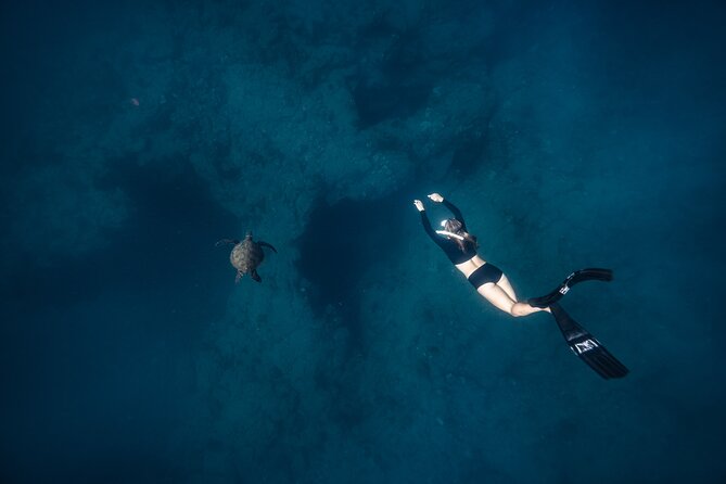 Two Tank Morning Reef Dive and Snorkel - Price and value in Kona: is $195 fair?